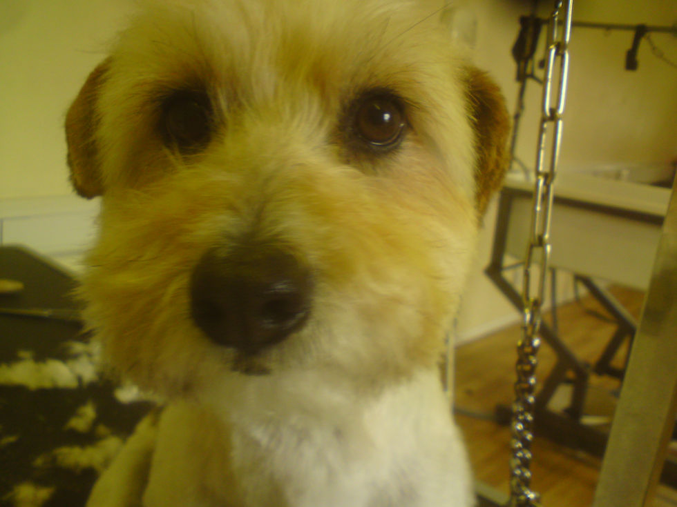 phone pics 1113 3678.JPG