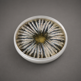 Anchois marinés nature