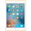 Thumbnail: iPad mini 4 Silicone Case