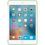 Thumbnail: iPad mini 4 Silicone Case