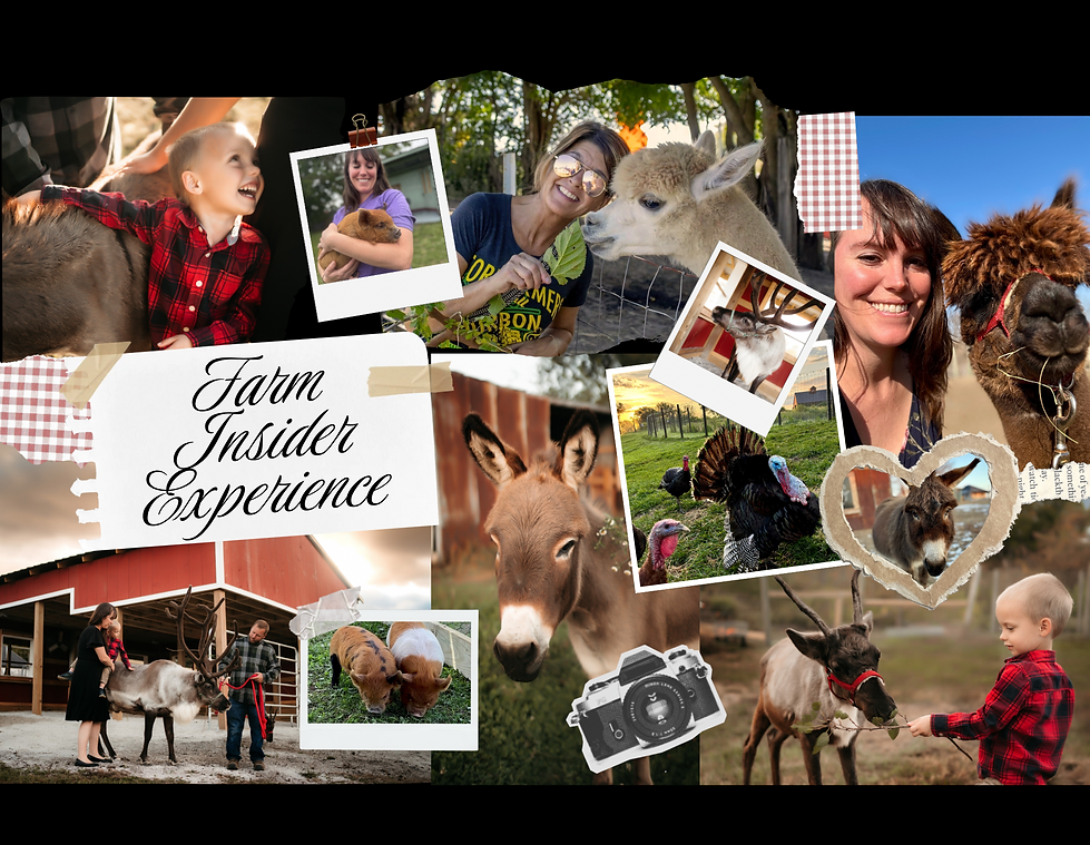 Farm Insider Experience Collage Illinois Farm