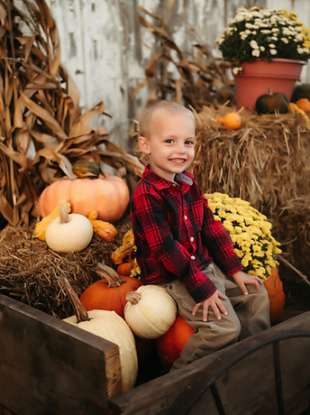 Photography at Illinois pumpkin patch