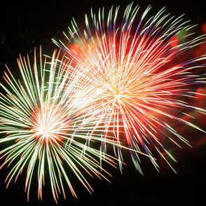4th of July Fireworks!