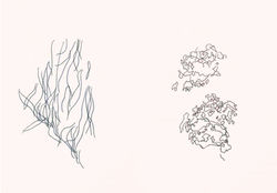 huo-huo_compressed 拷貝_page-0004_edited