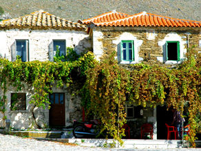 Old stone houses with tiled roofs and climbing vines in the village of Thalames, Mani, in the Peloponnese, Greece