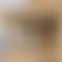 Temple of Athena and Poseidon Erechteus - The Erechtheion