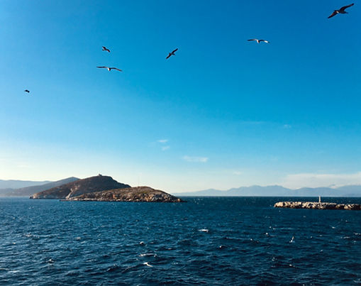 Evia: The Euripus Strait at Chalcis for Evia Golden Visa information.