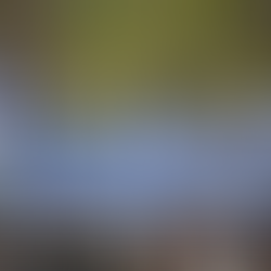 greek diaspora reconnecting with greece