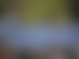 greek diaspora reconnecting with greece