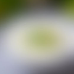 Recipe: How To Make Tzatziki