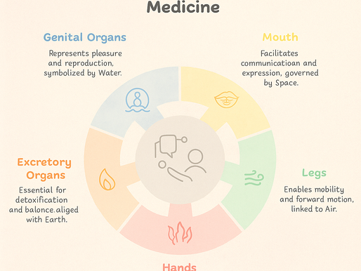 Understanding the Prime Functions of the Five Motor Organs in Siddha Medicine