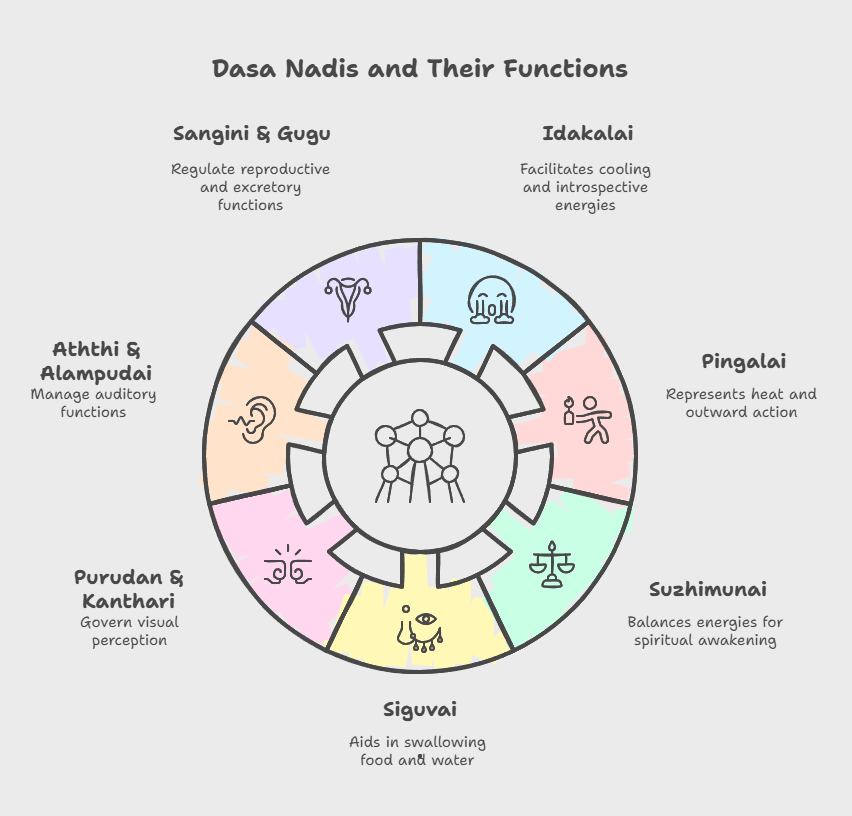  Exploring the Ten Channels (Dasa Nadis) in Siddha Philosophy According to Vedanta Tathwa Kattalai