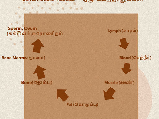 Understanding the Seven Basic Tissue Types (ஏழு உடற்தாதுக்கள்) in Siddha Medicine for Optimal Health