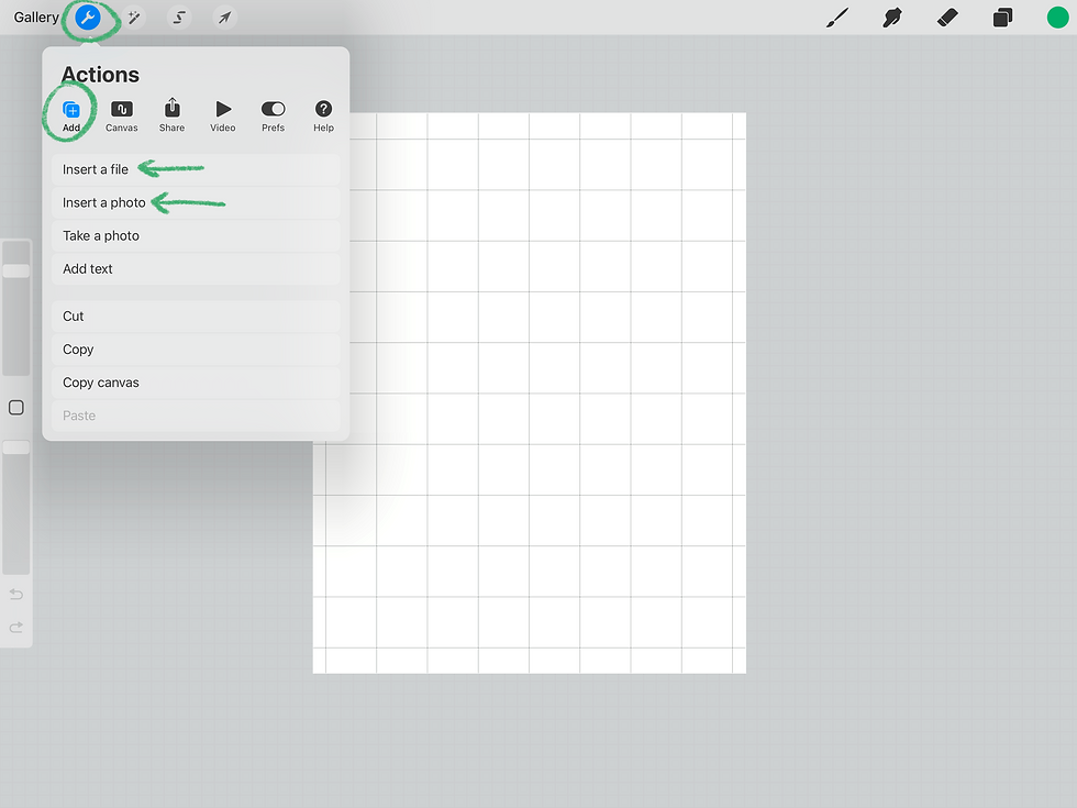 Inserting a photo in Procreate