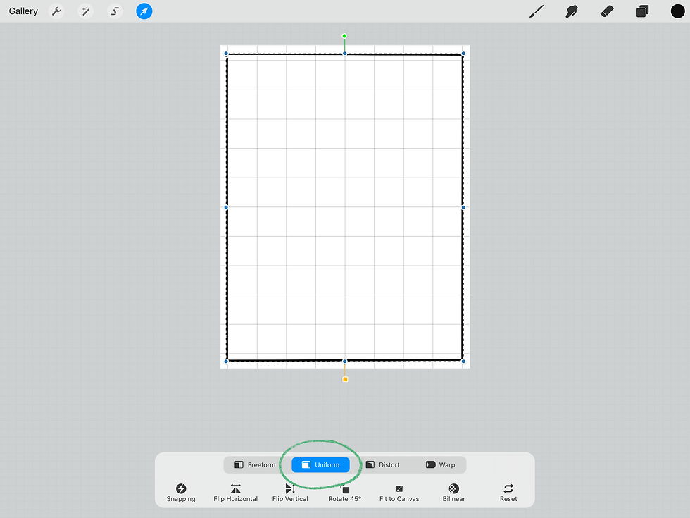 setting up no bleed in Procreate