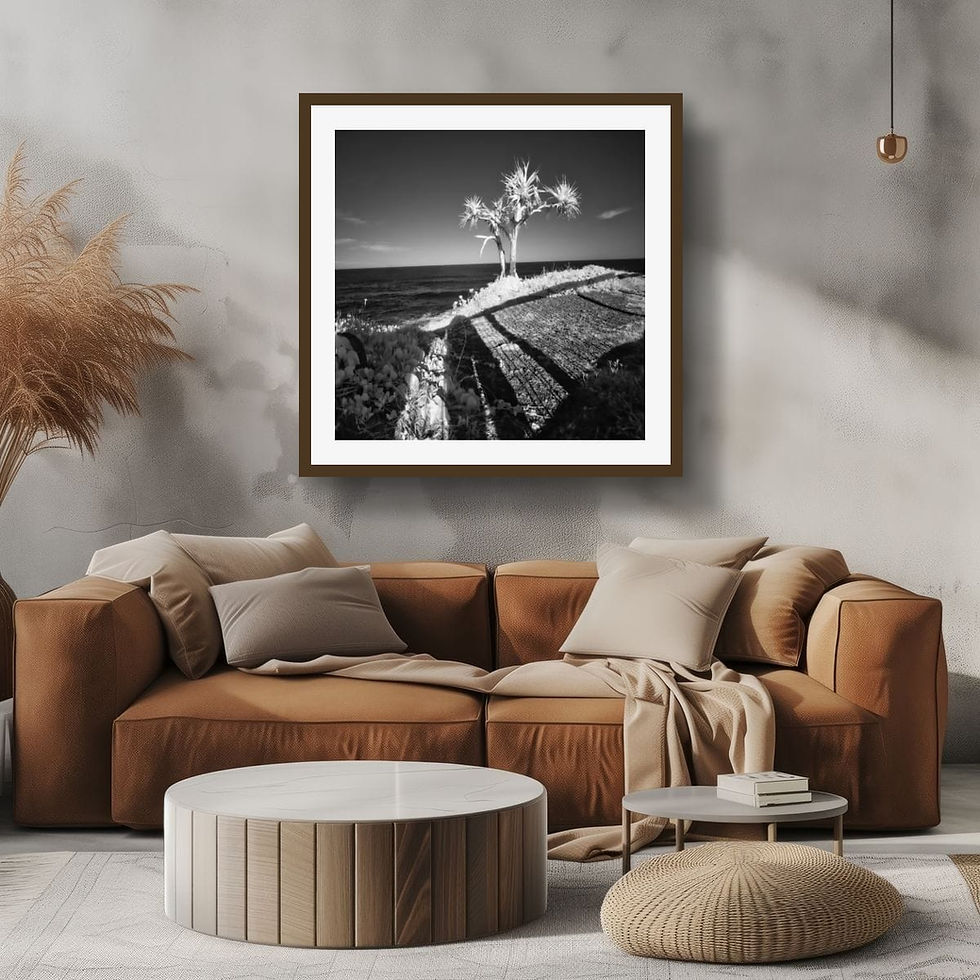 Thumbnail: Infrared Image - Sunshine Coast, Queensland