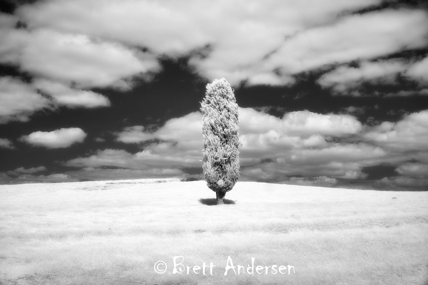 Infrared Image - Evandale Region, Tasmania.