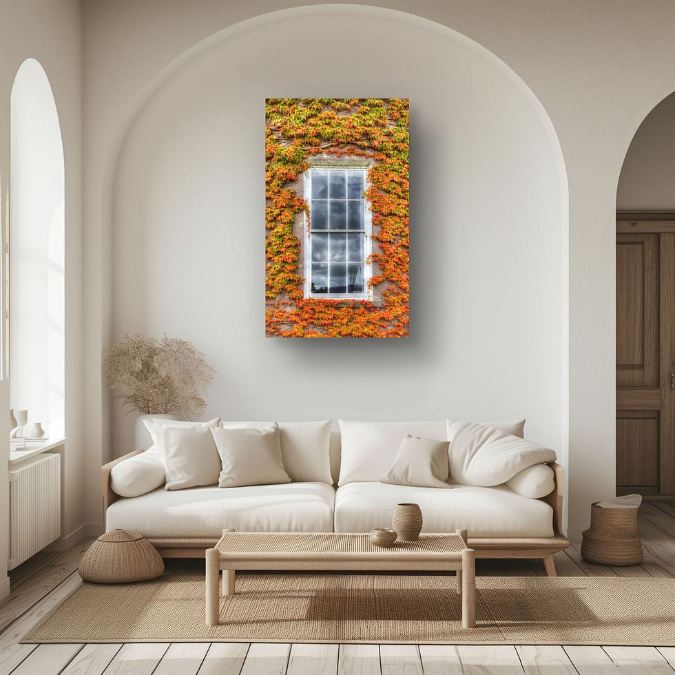 Thumbnail: Window - Coleraine, County Londonderry, Northern Ireland.