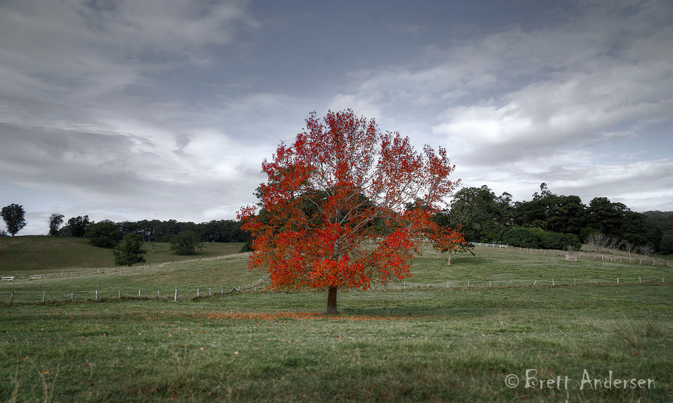 Scenic Image of Bellengen, NSW