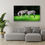 Thumbnail: Zebras, Seattle, USA.