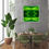 Thumbnail: Artistic Treatment of Botanical Beauty - South East Queensland.