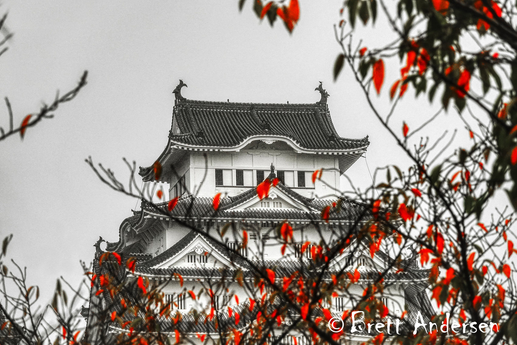 Himeji Castle, in the Hyōgo Prefecture, Japan.