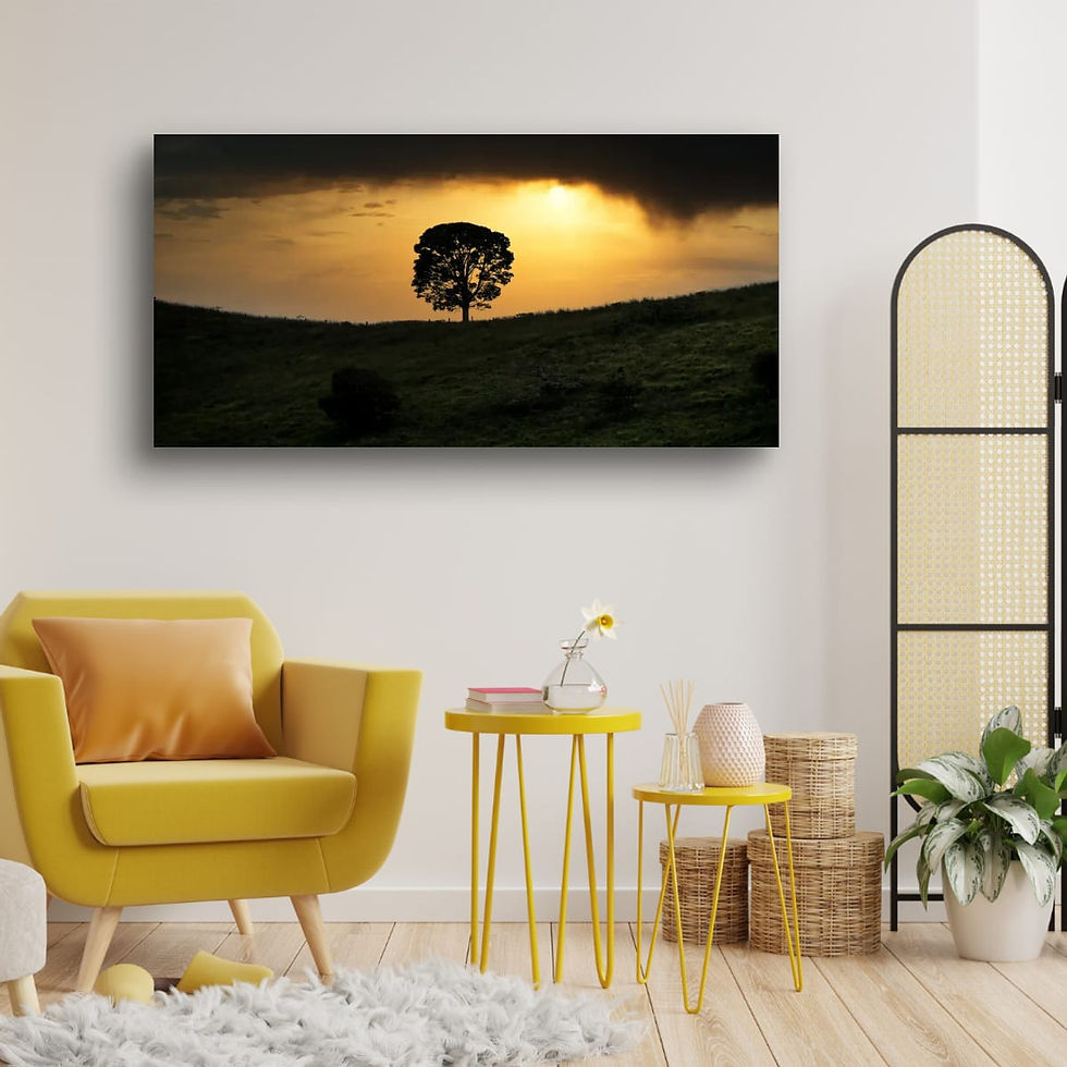 Thumbnail: Sunset at Woodford, South East Queensland.
