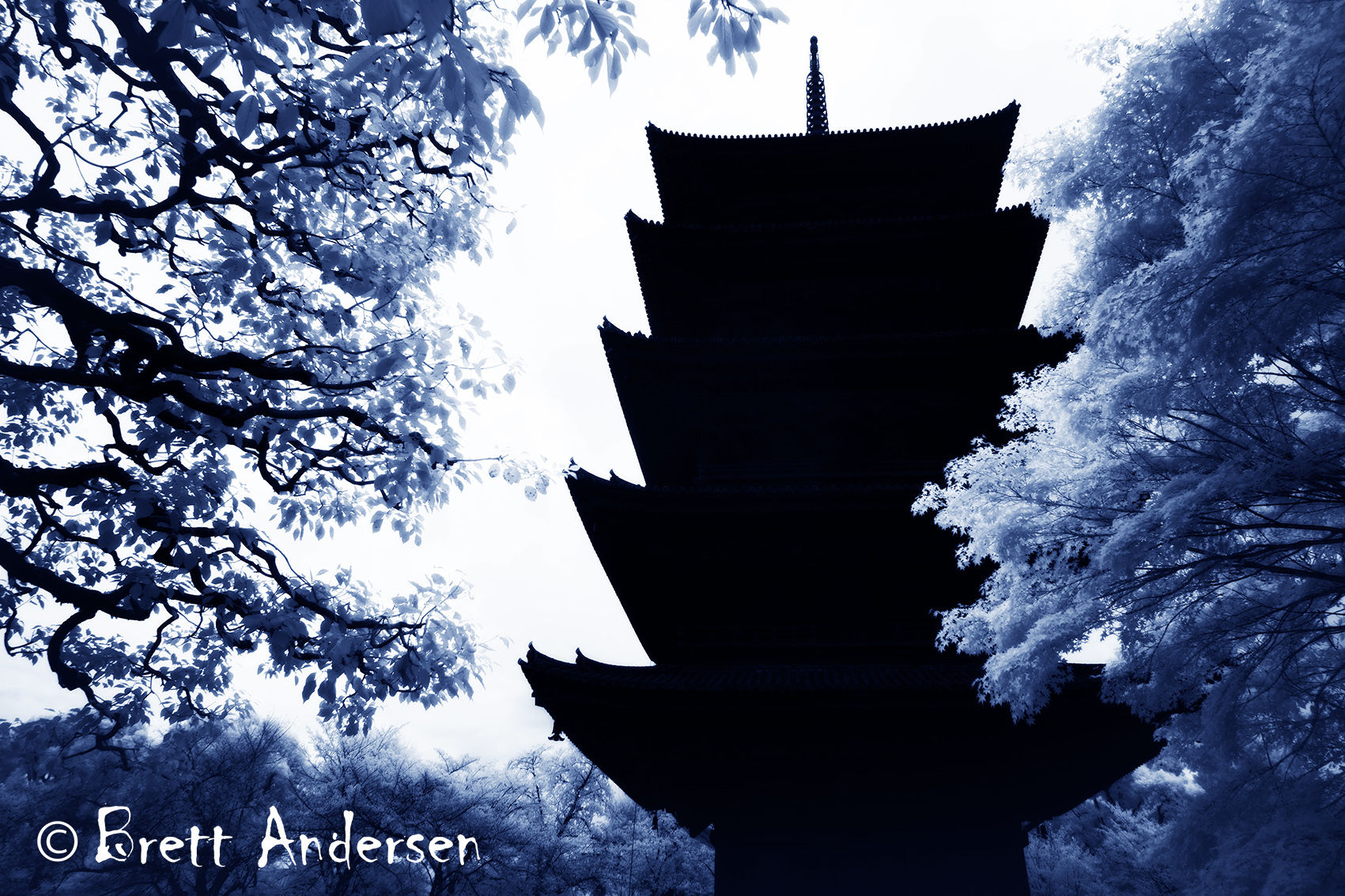The Gojunto, Five Story Pagoda, Kyoto.