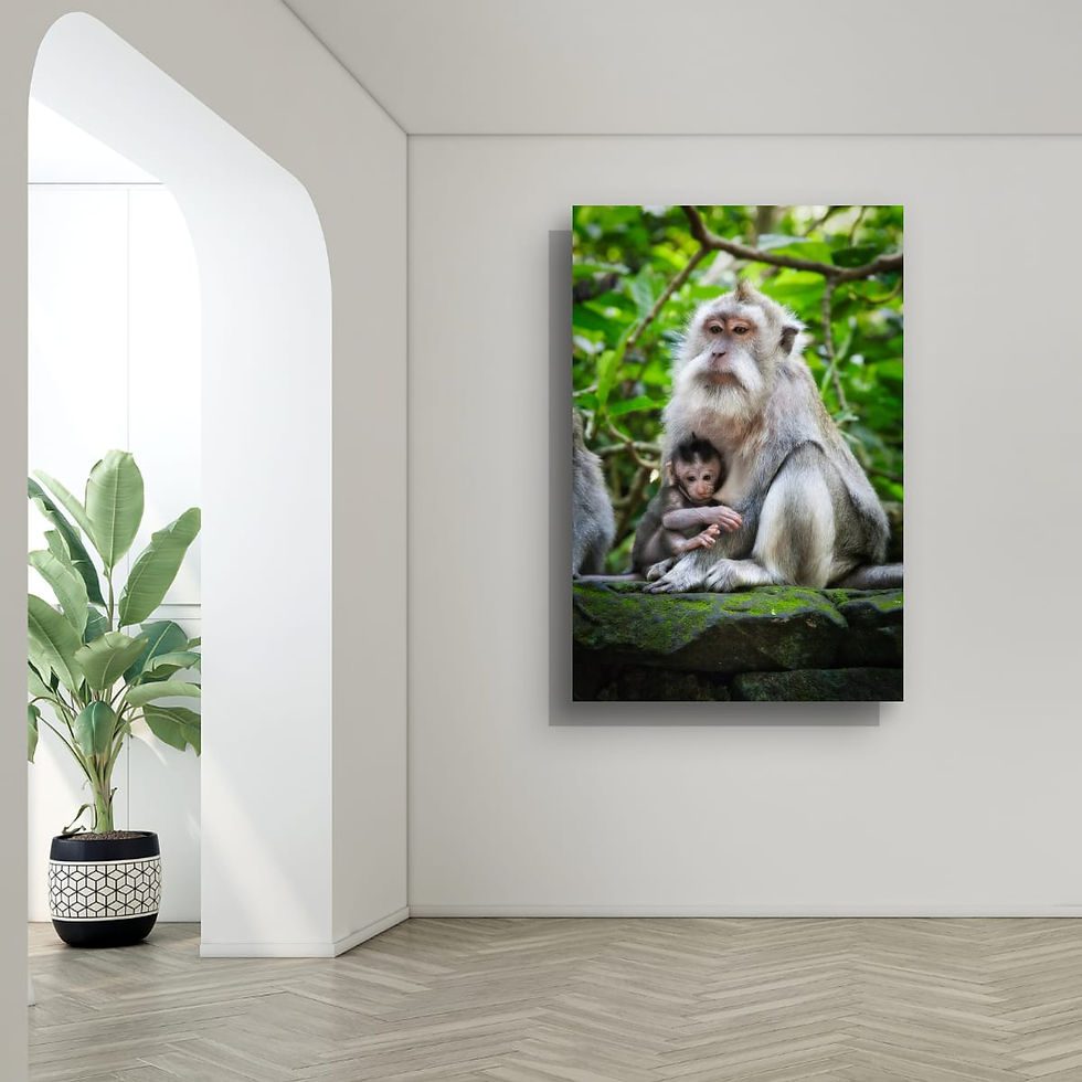 Thumbnail: Monkey and Infant feeding, Bali.