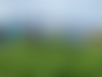 Hội thảo đầu bờ đánh giá kết quả tổng kết mô hình trình diễn áp dụng phân bón hữu cơ công nghệ cao trên cây chè tại huyện Anh Sơn , Nghệ An .