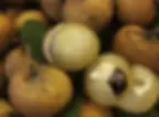 ree