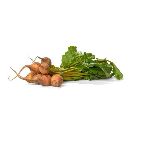 Golden Beetroot - Organic