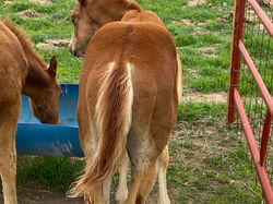 13ECBF57-6FB1-4393-B4D0-D6DBE197358B