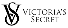 VS logo.png