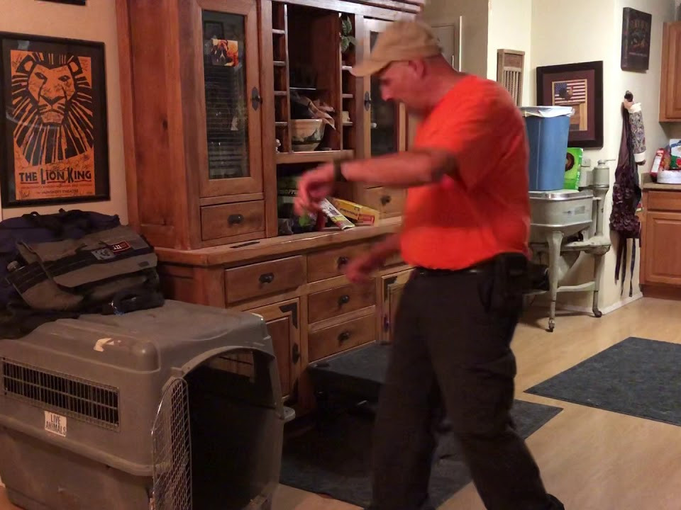 Taggs K9 Dog Training Las Vegas Private Lessons or Board and Train