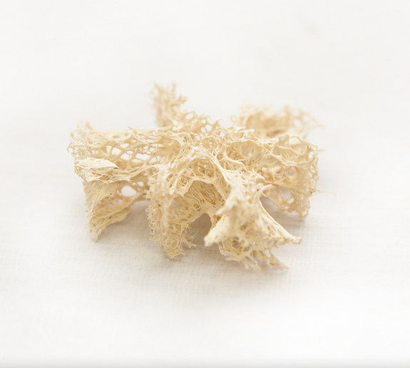 Screen Shot 2024-04-18 at 20.56.52.png