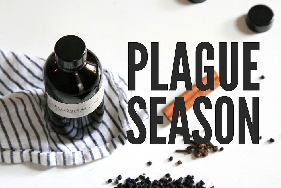 It‘s Plague Season — How to Stay Alive
