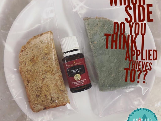 Testing, Testing! Essential Oils and Mold