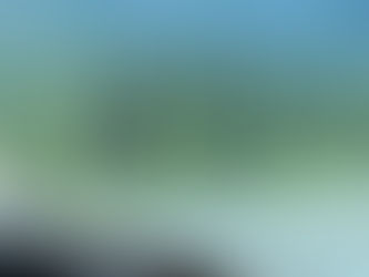 Black Spruce: Majestic in Might, not Stature