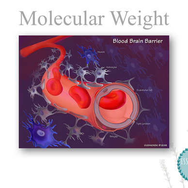 How Essential Oils Work: Molecular Weight