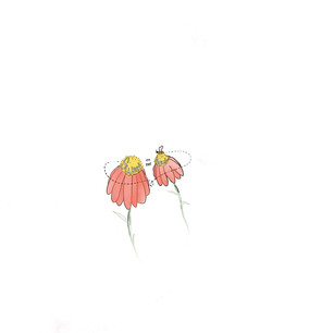 illustration,courtney jette,flowers,gard