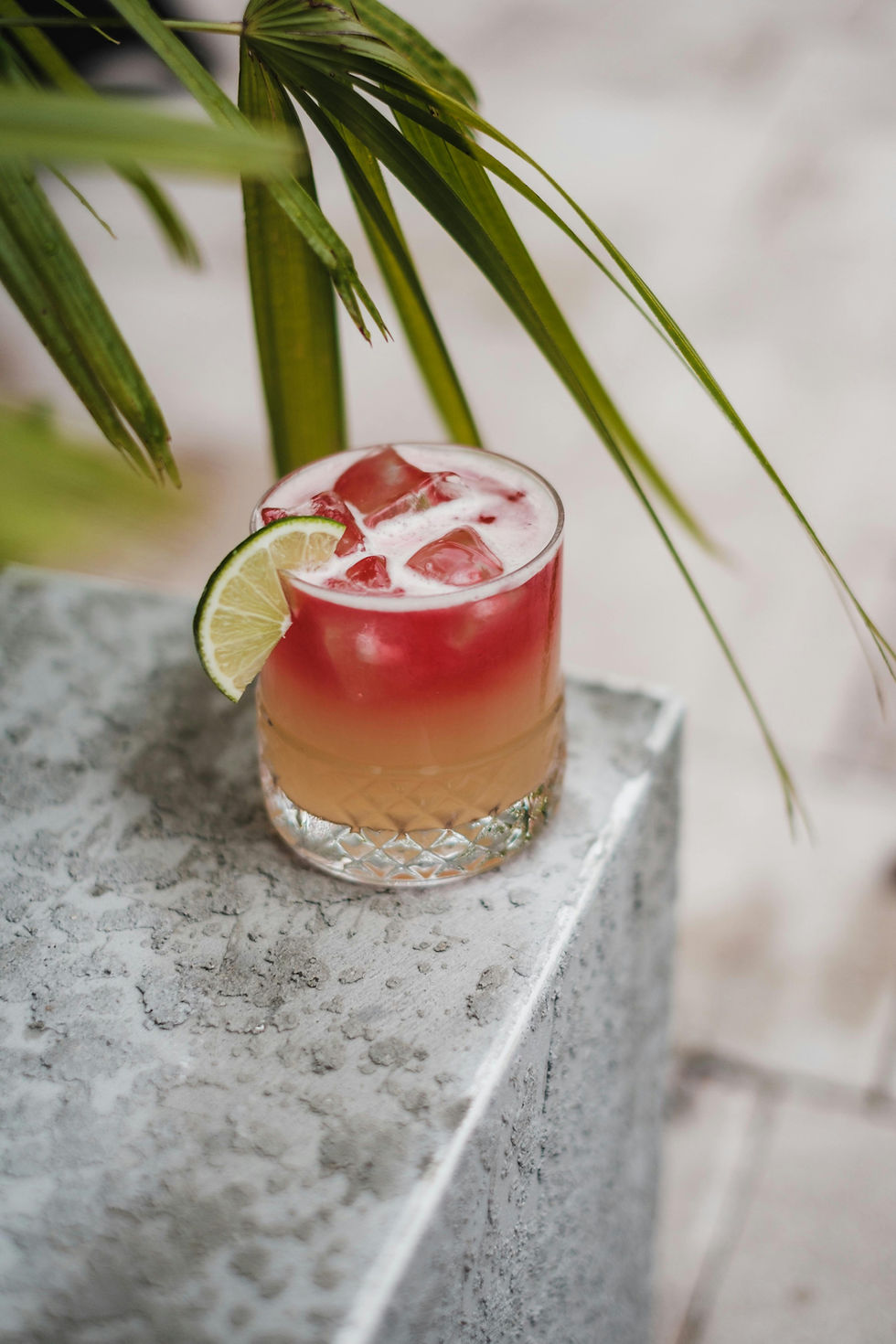 Margarita Christmas Cocktail