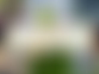 Ervaar Bewust Ede & Goodiebag