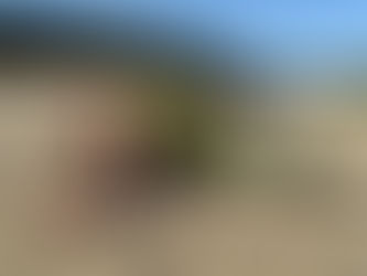 Voordelen van Yin Yoga