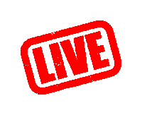 live-dj-scene.gif