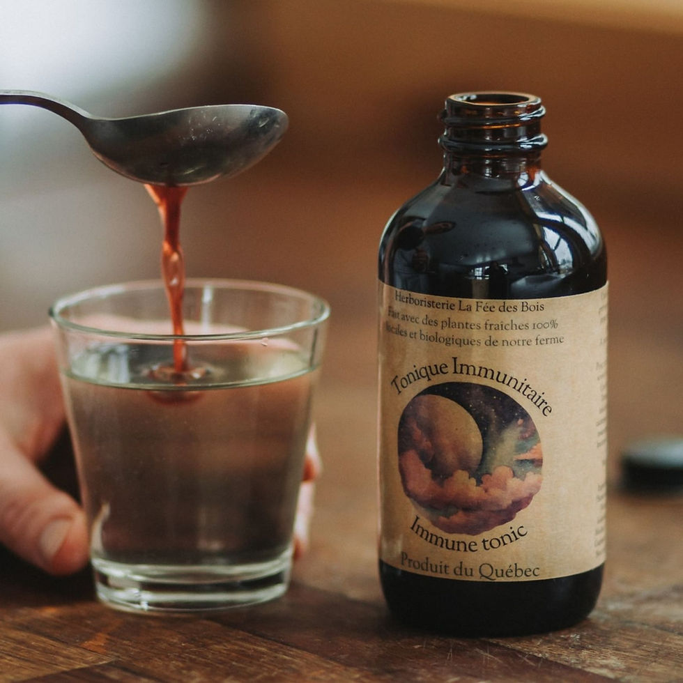 Miniature : Tonique Immunitaire Herboristerie La Fée des Bois Apothecary