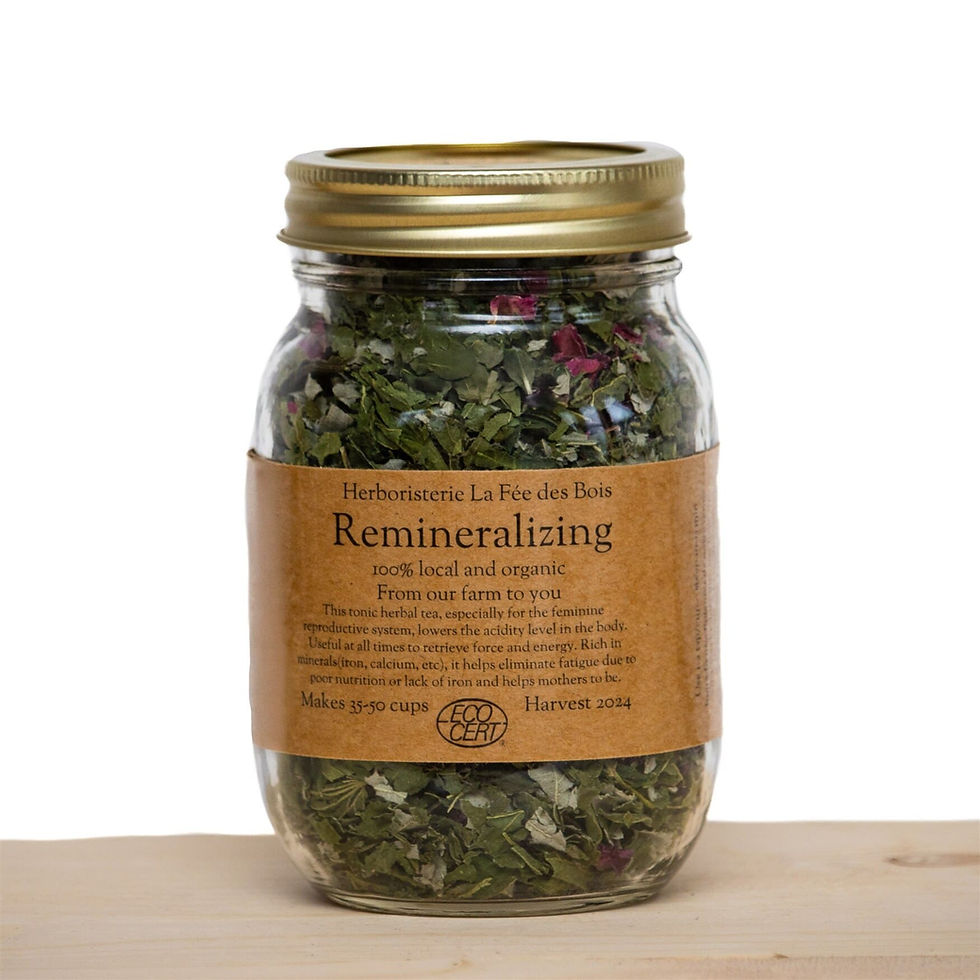 Thumbnail: Remineralizing herbal tea Herboristerie La Fée des Bois Apothecary