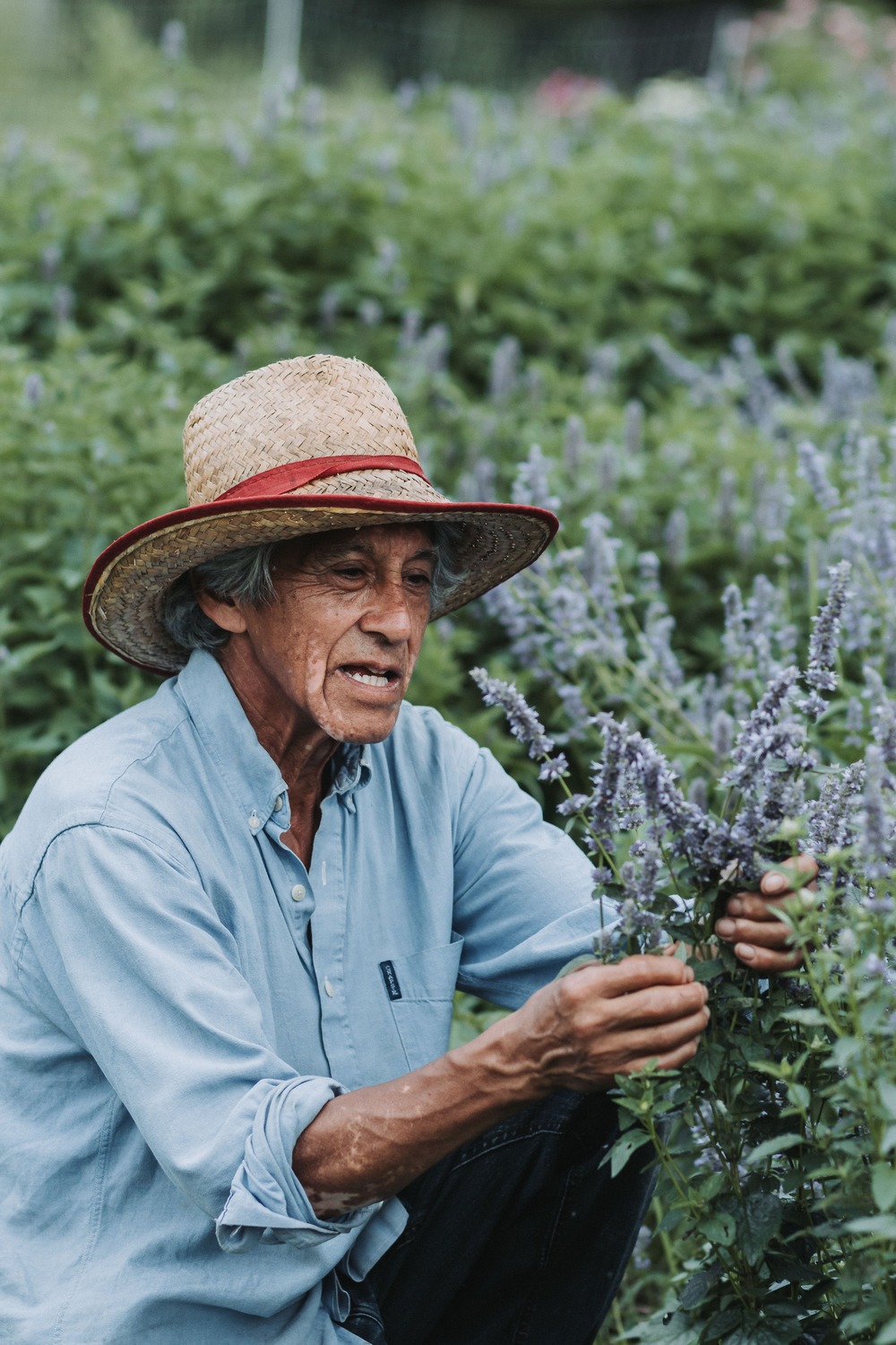 Herboristerie La Fée des Bois Apothecary
