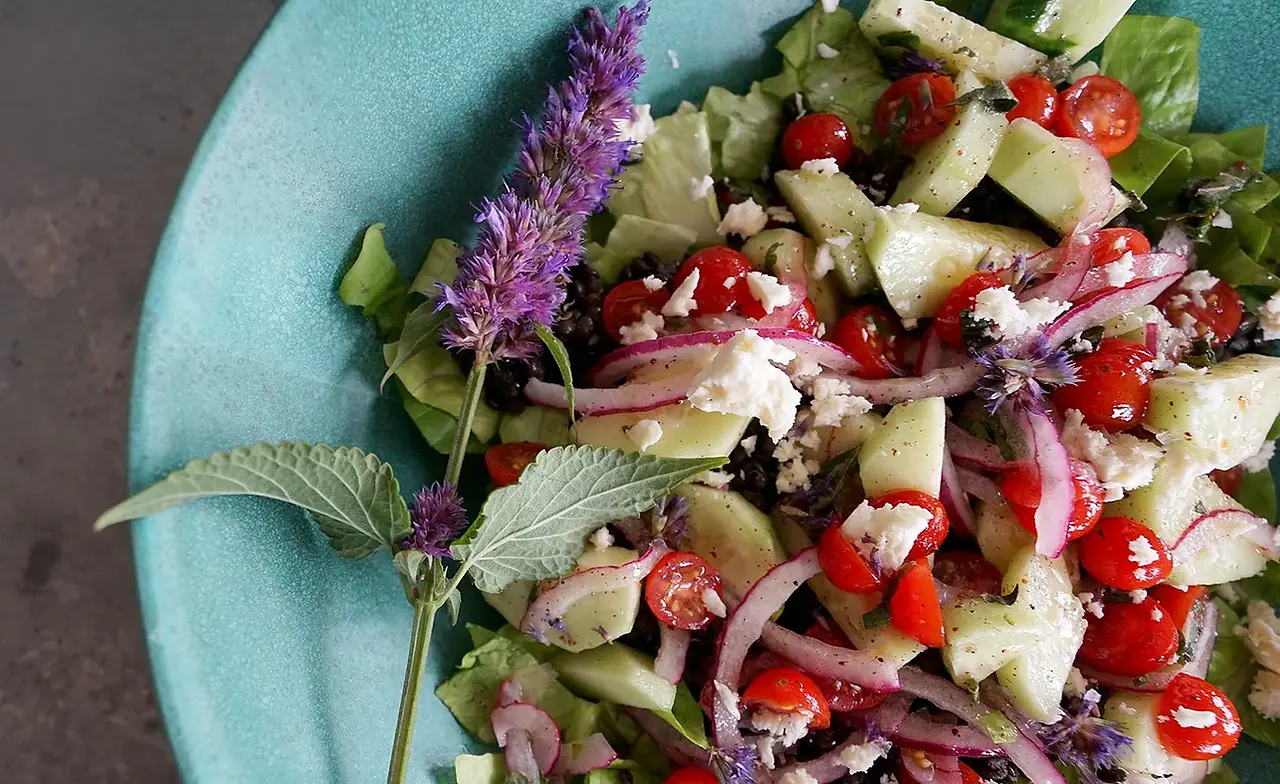 Summer salad with fennel agastache