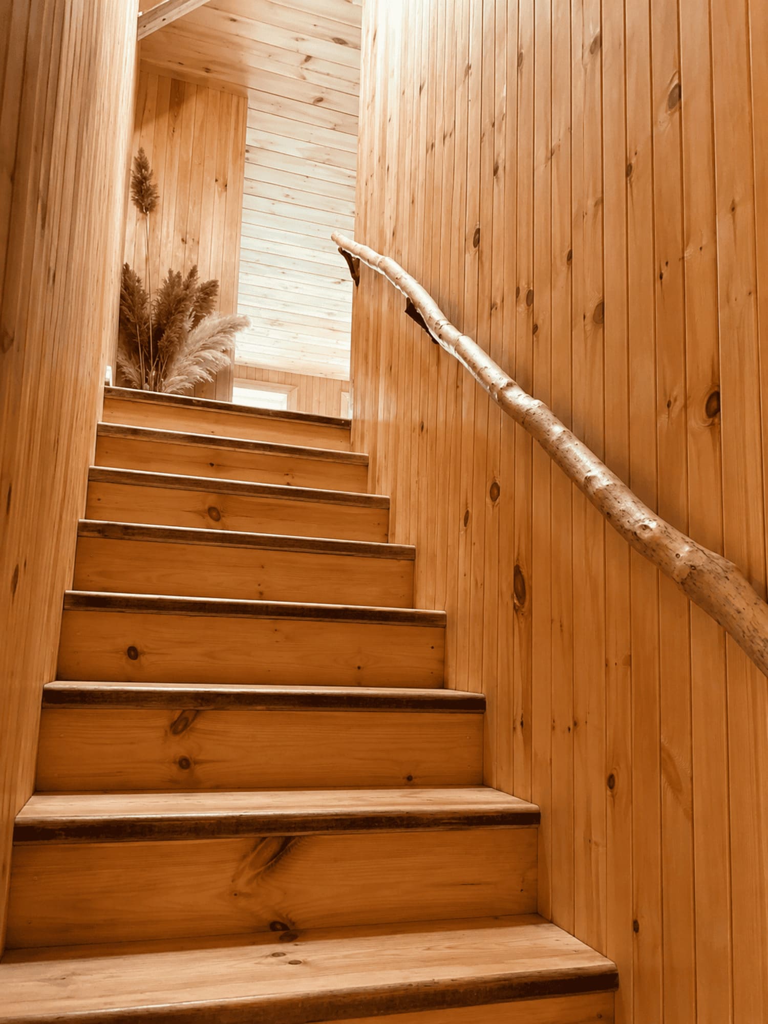 Hébergement La Fée des Bois - Chalet La Grande Ourse